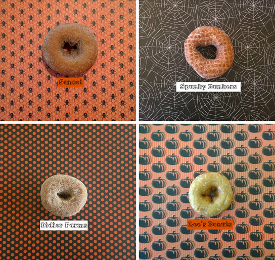 Fall Review: Apple Cider Donuts