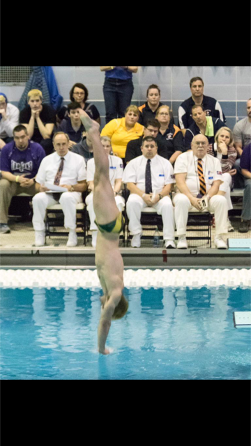 Swimming and diving team places fourth at state