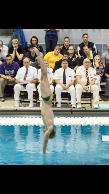 Swimming+and+diving+team+places+fourth+at+state