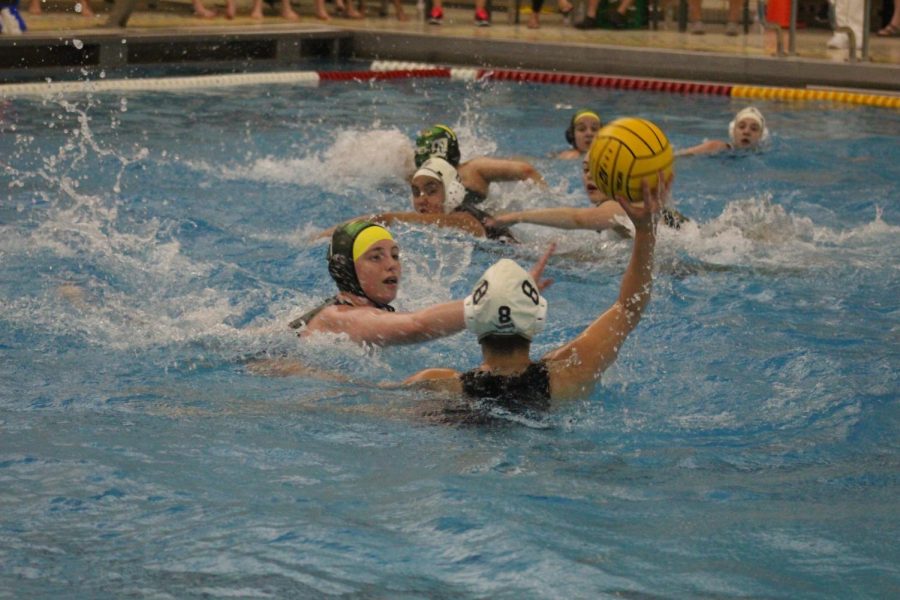 Water Polo State Finals