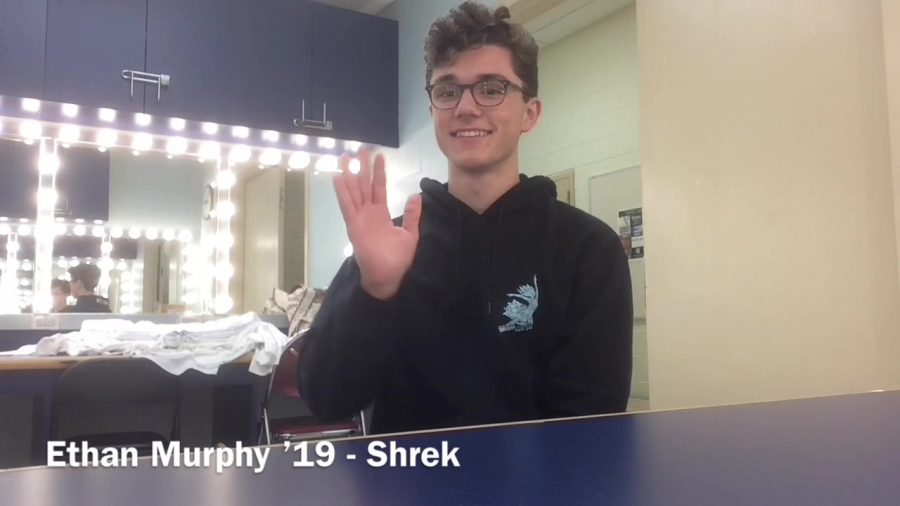 Shrek Preview