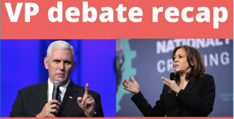 Vice Presidential Debate: Flies and Fact-checking