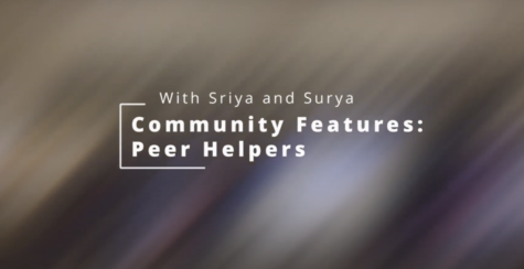 Community Features: Peer Helpers